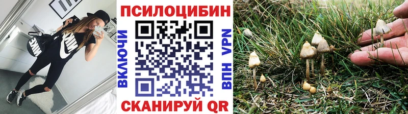 Псилоцибиновые грибы прущие грибы  где купить наркоту  omg сайт  Нерюнгри 