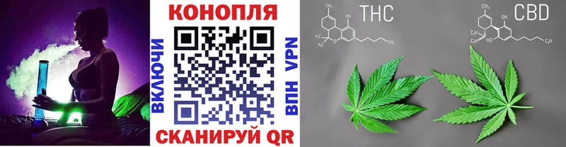Марихуана марихуана  как найти   Нерюнгри 